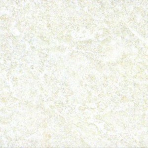 Gạch ốp tường Trường Thịnh NEW SWAN CASTLE G51010